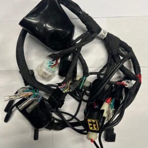 FAISCEAU  ELECTRIQUE  PRINCIPAL TALARIA STING 3000