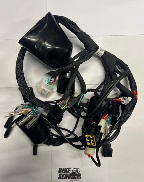 FAISCEAU  ELECTRIQUE  PRINCIPAL TALARIA STING 3000